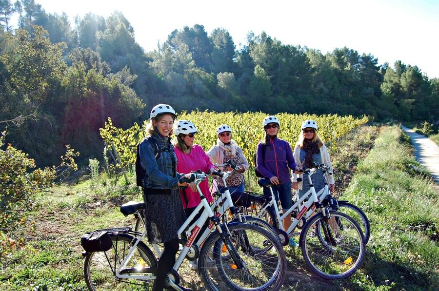 Barcelona: Guided Half-Day Wine and Electric Bike Tour - Returning to Lavern-Subirats by 2:00 PM