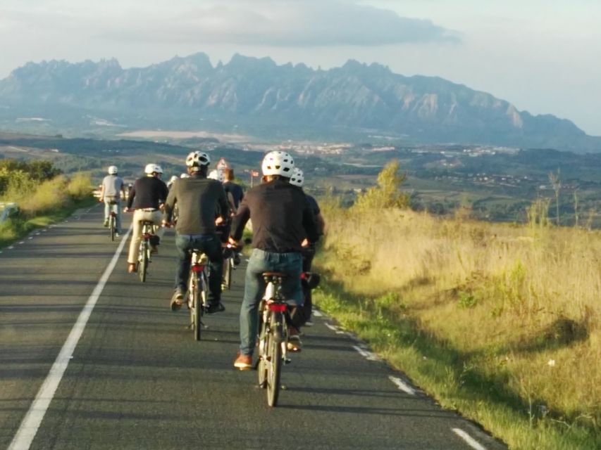 Barcelona: Guided Half-Day Wine and Electric Bike Tour - What the $101 price gets you