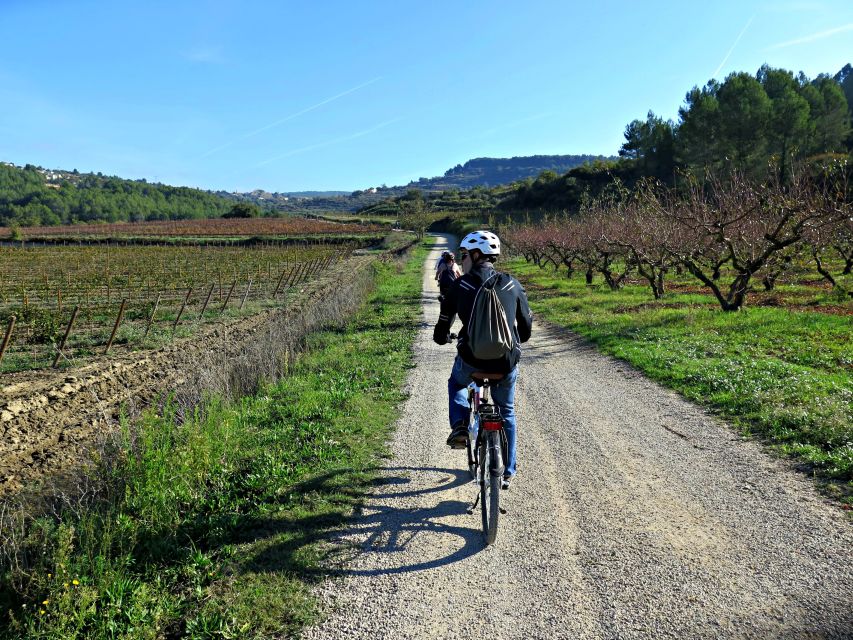 Barcelona: Guided Half-Day Wine and Electric Bike Tour - Who will enjoy this tour most