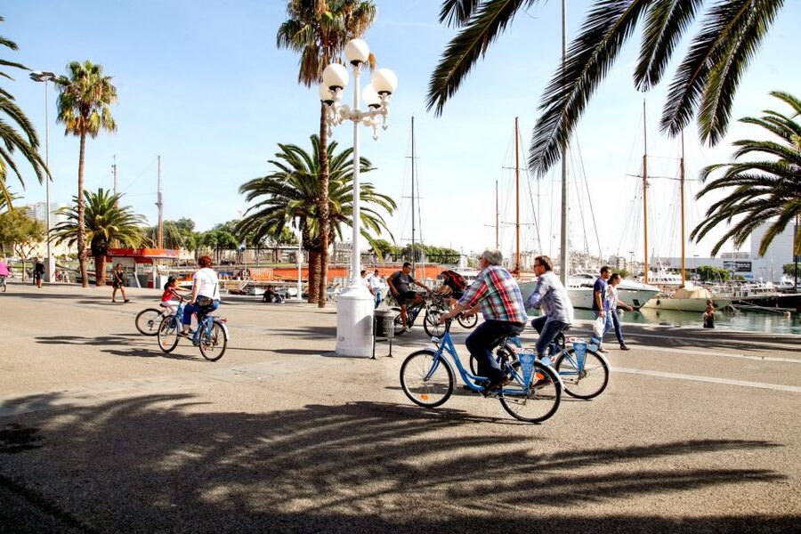Barcelona Historical 3-Hour Bike Tour - Bikes, comfort, rain, and pace