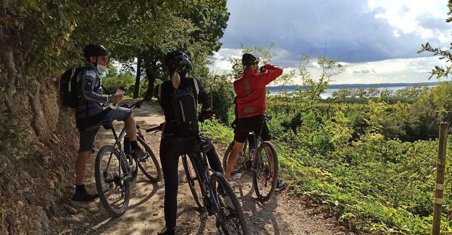 Bardolino: e-bike tour and wine tasting on the hills - Key points to know before you book