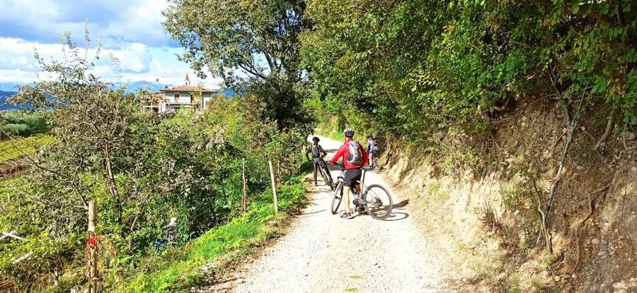 Bardolino: e-bike tour and wine tasting on the hills - Leaving Bardolino for the inland hills