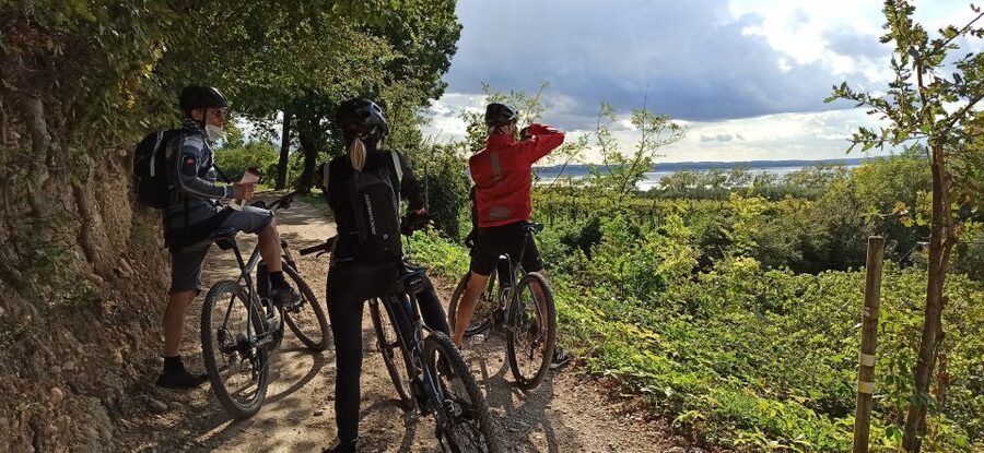 Bardolino: e-bike tour and wine tasting on the hills - Cavaion Veronese and the first stretch inland