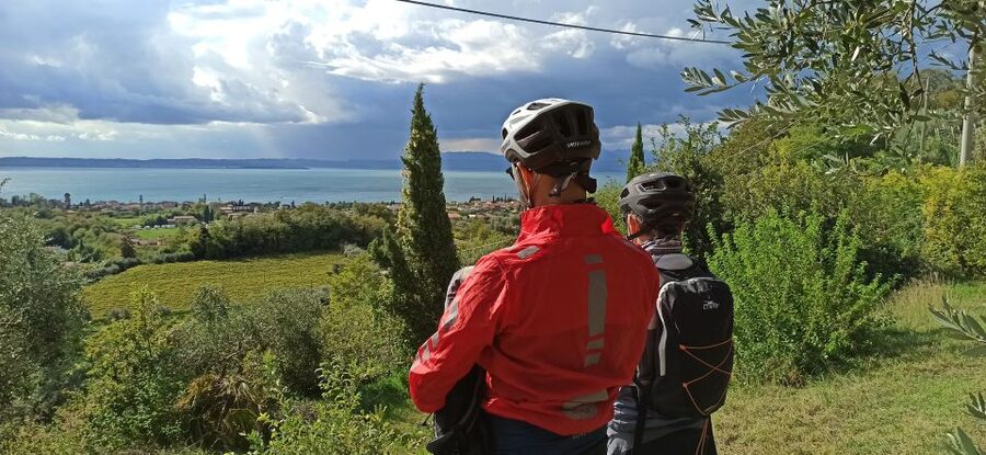 Bardolino: e-bike tour and wine tasting on the hills - Arriving at the local cellar for three wines
