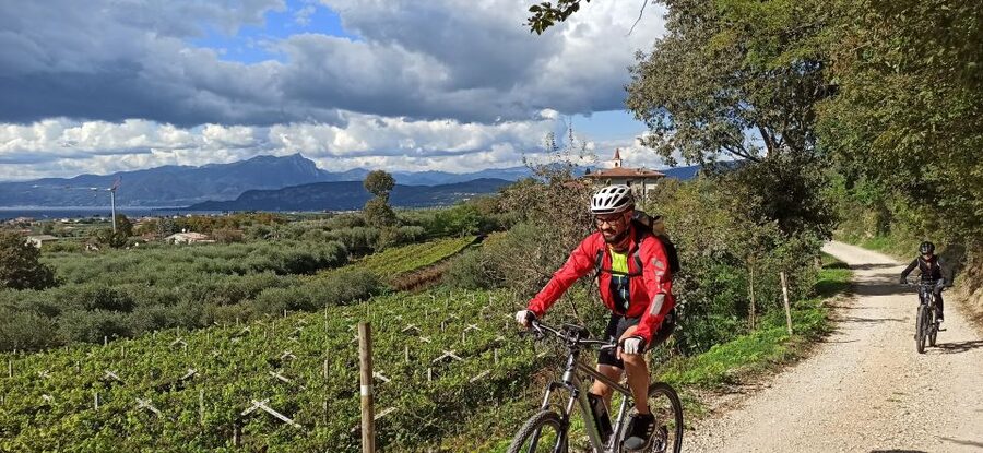 Bardolino: e-bike tour and wine tasting on the hills - Practical details that can make the day easier