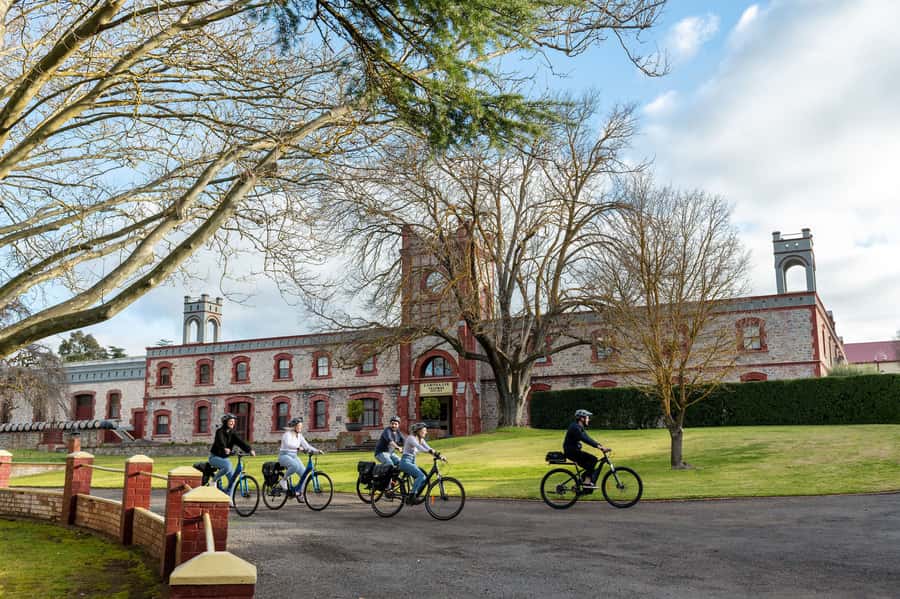 Barossa Valley: Gourmet Food and Wine E-Bike Tour - Why this Barossa tour works so well