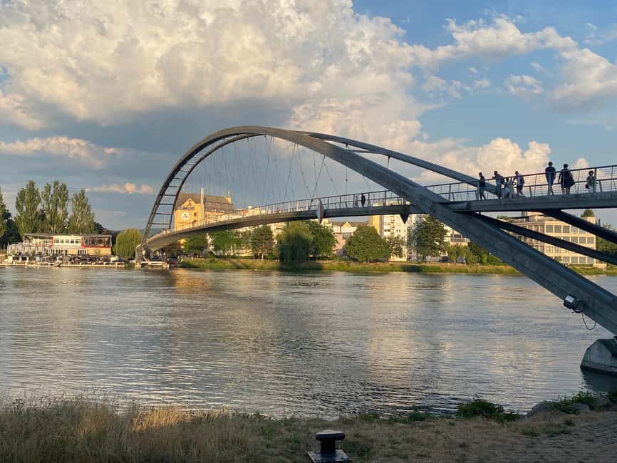 Basel: Fancy a bike tour through 3 countries in 60 minutes? - Holzpark Klybeck and Basel’s alternative side