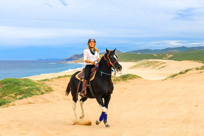 Beach Camel Ride and Sky Bike in Cabo - The sky bike above Migriño