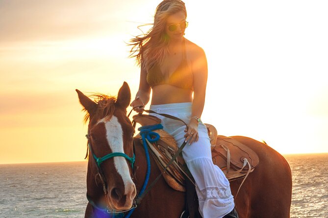 Beach Camel Ride and Sky Bike in Cabo - What to bring and what to confirm