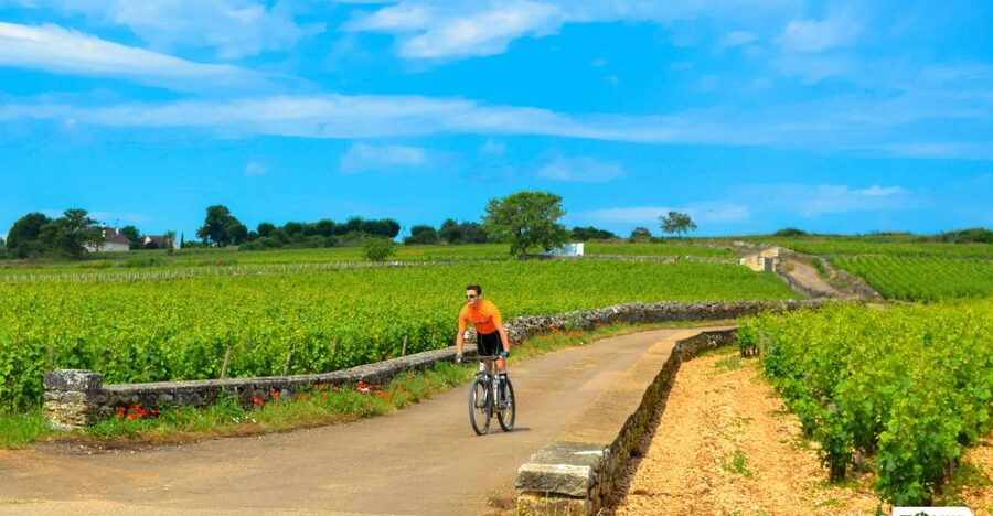 Beaune: Winery Tour by Bike with Wine Tasting - Why a bike is the right way to see the Côte de Beaune