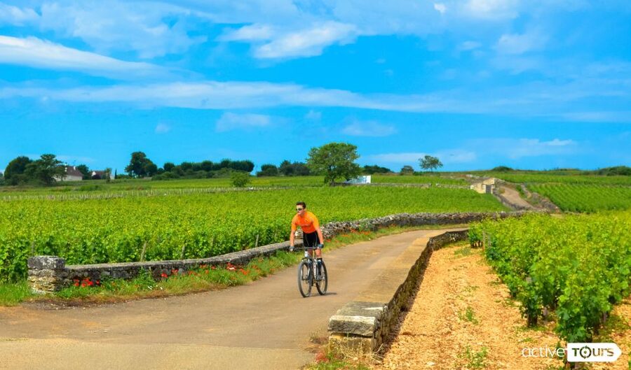 Beaune: Winery Tour by Bike with Wine Tasting - Learning Burgundy one grape and one soil at a time