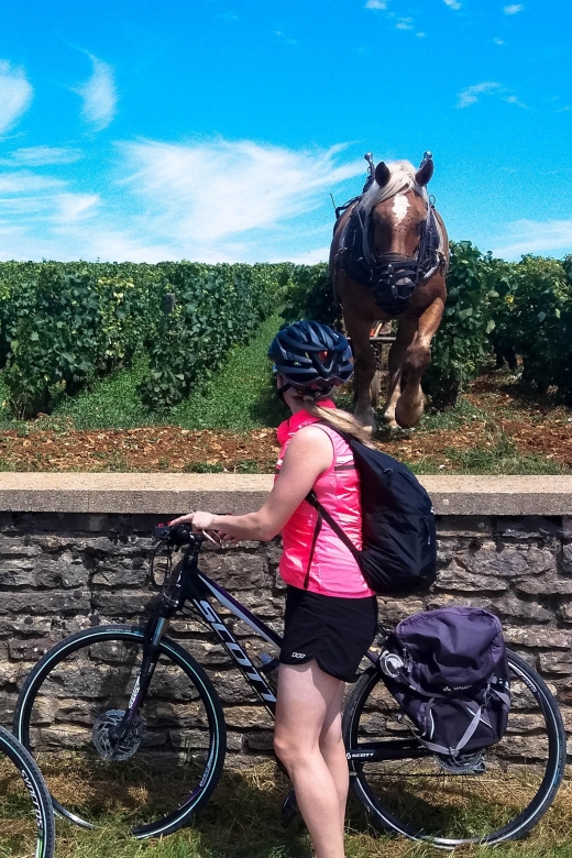 Beaune: Winery Tour by Bike with Wine Tasting - Practical tips before you go