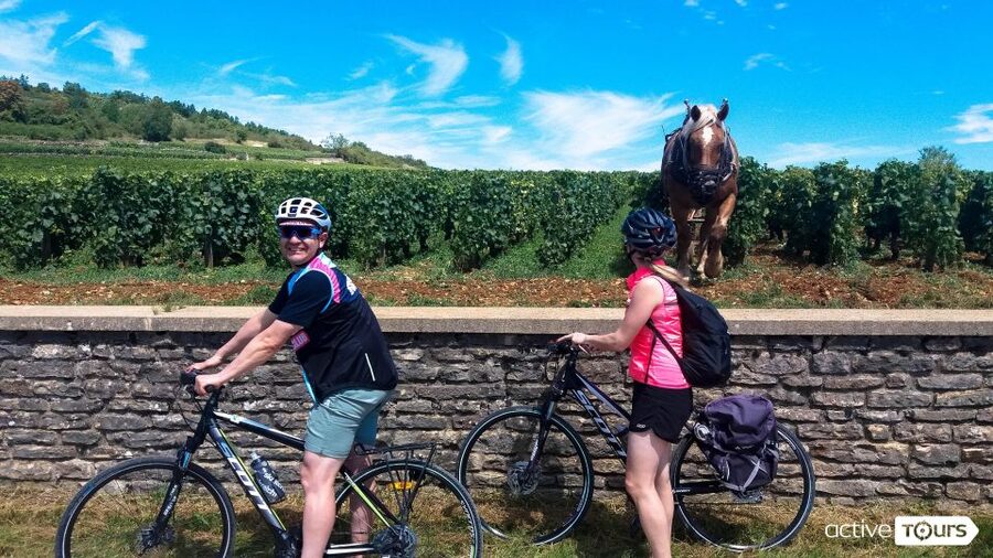 Beaune: Winery Tour by Bike with Wine Tasting - Pommard, where the vineyard ride begins