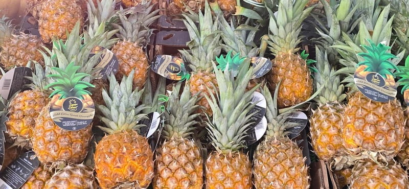 Berlin: 3-hour bike tour - A journey through time in the capital - A quiet stop at the Holocaust Memorial