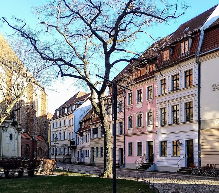 Berlin: From East to West & Wall Tour by Bike with a Guide - What the guide adds to the ride