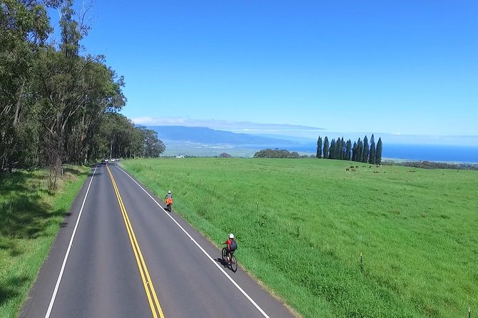 Best Haleakala Downhill Self-Guided Bike Tour with Maui Sunriders - Starting at 6,500 feet on Haleakala