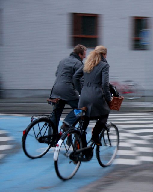 Best of Copenhagen Biking Tour-3 Hours, Small Group max 10 - Amalienborg Palace and the royal center