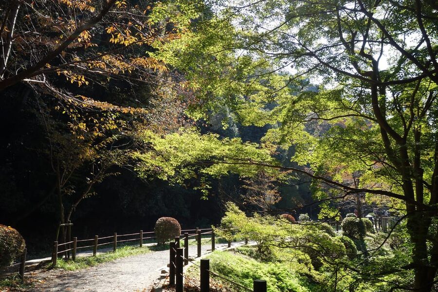 Best of Kyoto: Ginkakuji & Path of Philosophy E-Bike Tour - Ginkakuji: a quiet start among sand and moss