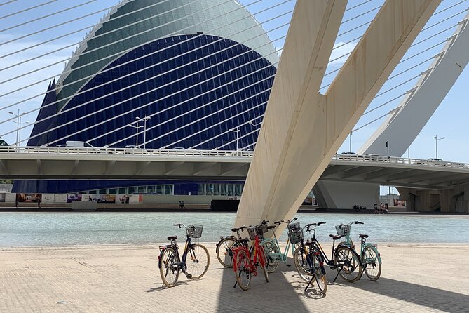 Bicycle Rental in Valencia - Riding the Turia Gardens, Valencia’s easiest cycling route