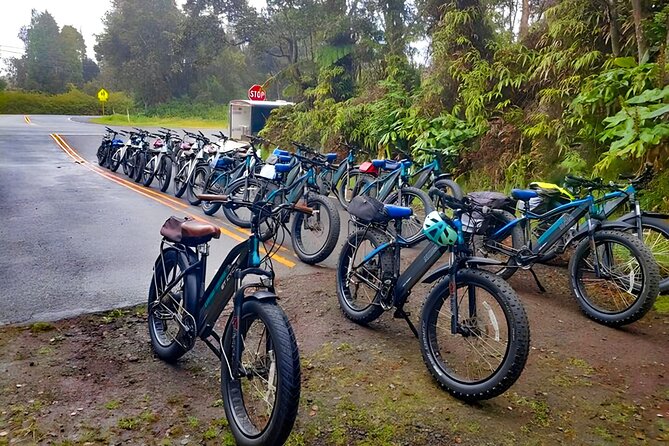 Big Island: Fat Tire E-Bike Tour through Volcanoes National Park - The lava tube walk and volcanic viewpoints