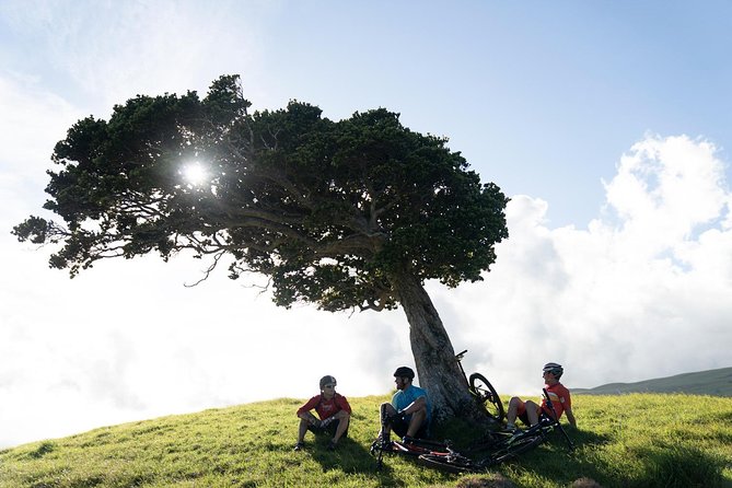 Big Island Mountain Biking on Anna Ranch - Practical planning for your Big Island day