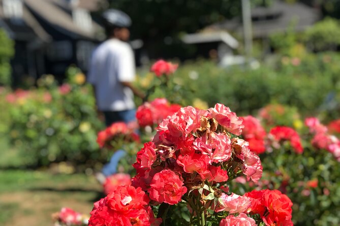 Bike Around Portland Oregon: Art, Culture, Bridges, Poetry - Hawthorne, Clinton Street, and local movie culture