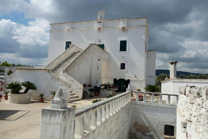 Bike oil tour in Monopoli - From Monopoli’s waterfront to the olive groves