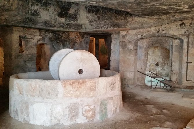 Bike oil tour in Monopoli - Is the $90.11 price good value?