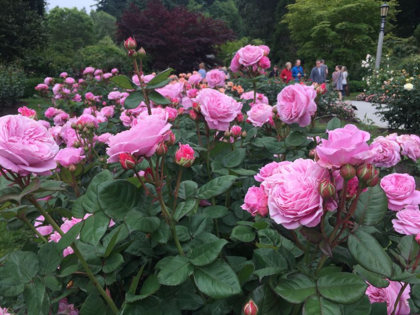 Bike Portland: Bridges, Neighborhoods, Poetry, and Roses - Two Bridges and the Willamette Views
