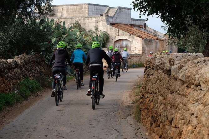 Bike Rental in Bari - Choosing the right bike for your group