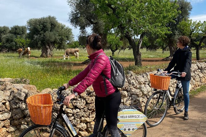 Bike Rental in Bari - What the $24.19 price really buys you