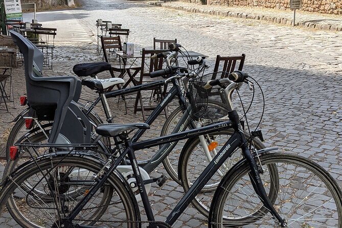 Bike Rental inside Appian Way Regional Park - Family use, comfort, and physical demands