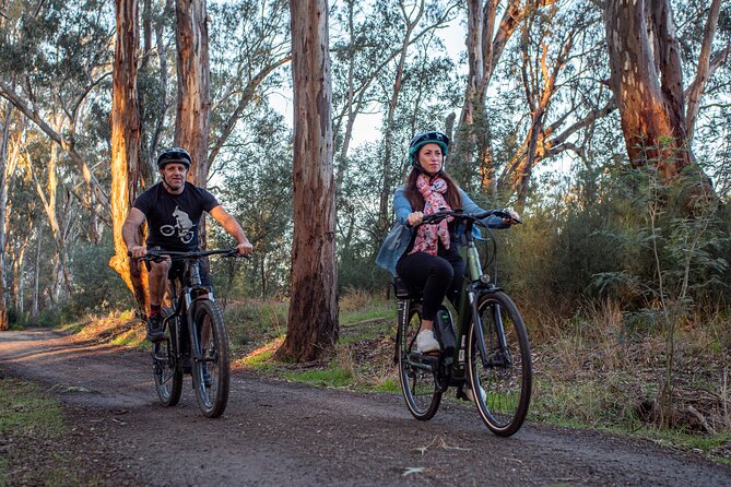 Bike to Winery Tour - The e-bike makes the route accessible