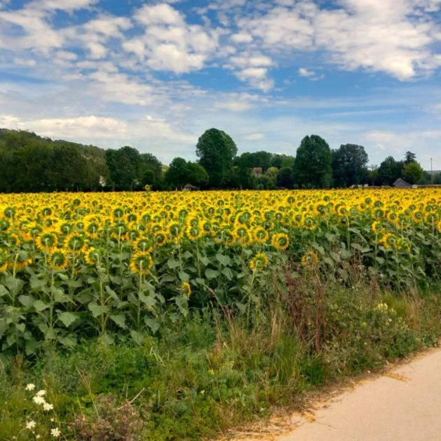Bike tour from Vernon to Giverny with local guide - Small-Group Attention from Nicolas