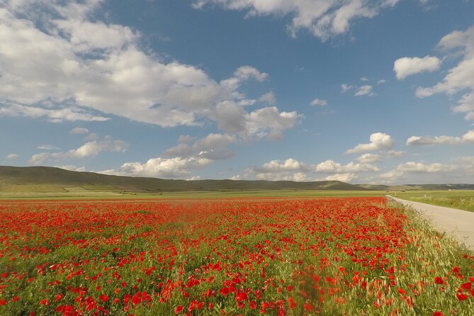 Bike Tour in the Alta Murgia National Park (Pulo of Altamura) - From Altamura station to the open Murgia