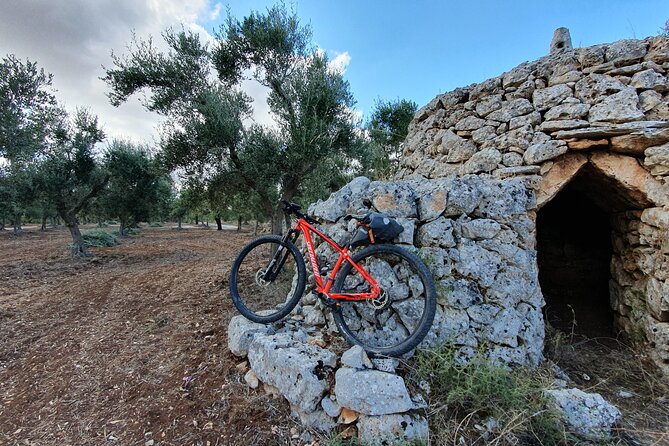 Bike Tour in the Alta Murgia National Park (Pulo of Altamura) - The strongest part: a guide who connects the dots