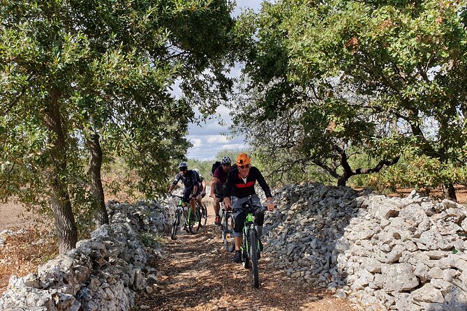 Bike Tour in the Alta Murgia National Park (Pulo of Altamura) - What the three-hour itinerary feels like