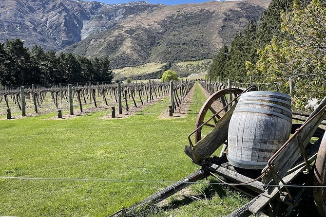Bike & Wine Tour: Arrowtown to Valley of the Vines - Why this Arrowtown to Gibbston ride works so well