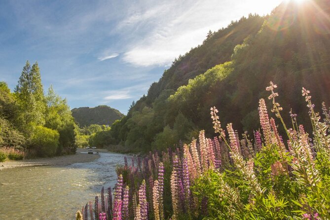 Bike & Wine Tour: Arrowtown to Valley of the Vines - Regular bike or e-bike?