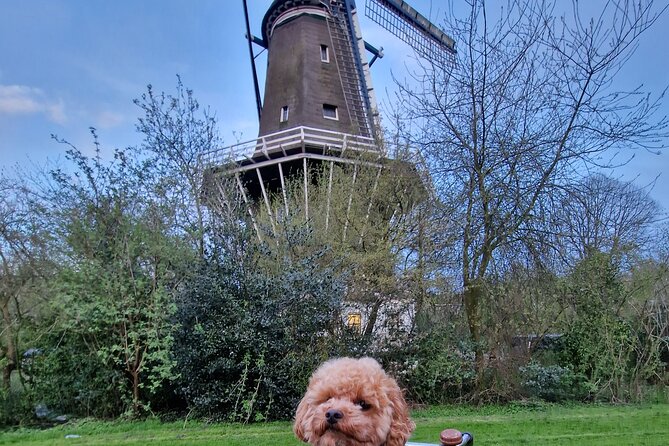 Bill's Bike Tour Amsterdam - Culture, Liberalism & Tolerance - From a former gasworks to the quiet canals of Prinseneiland