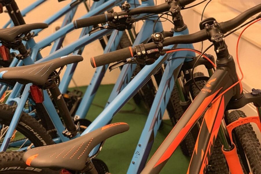 Bled: Mountain Bike Rental - What you receive for the $29 price