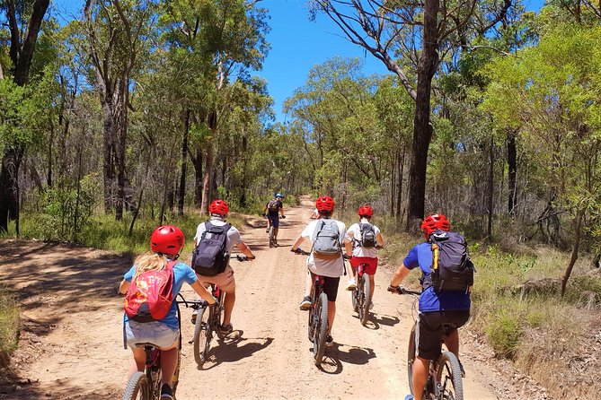 Blue Labyrinth PRIVATE Tour: Sydney Blue Mountains by E-Bike - Glenbrook gives you a head start on the Blue Mountains
