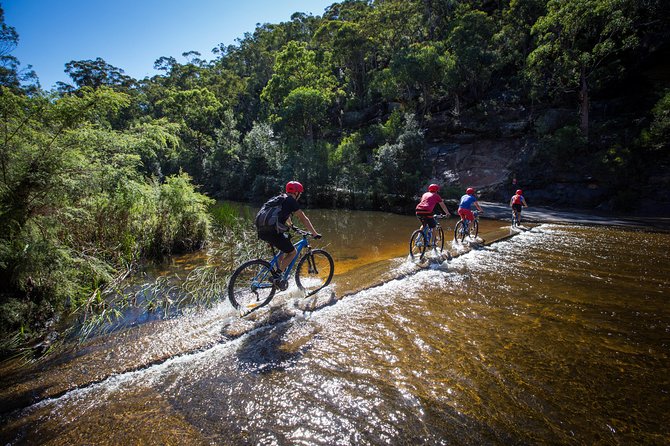 Blue Labyrinth PRIVATE Tour: Sydney Blue Mountains by E-Bike - The scenery rewards the effort