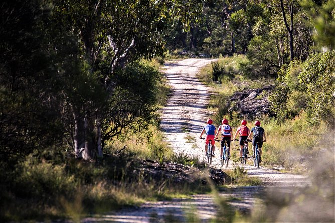 Blue Labyrinth PRIVATE Tour: Sydney Blue Mountains by E-Bike - Who will enjoy this most