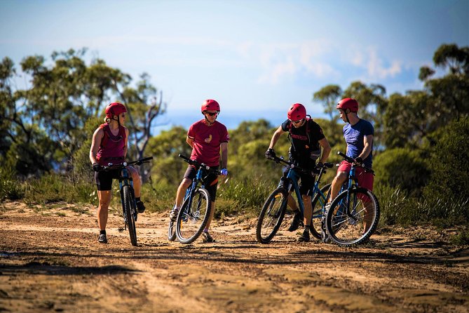Blue Labyrinth PRIVATE Tour: Sydney Blue Mountains by E-Bike - Electric power changes the feel of the ride
