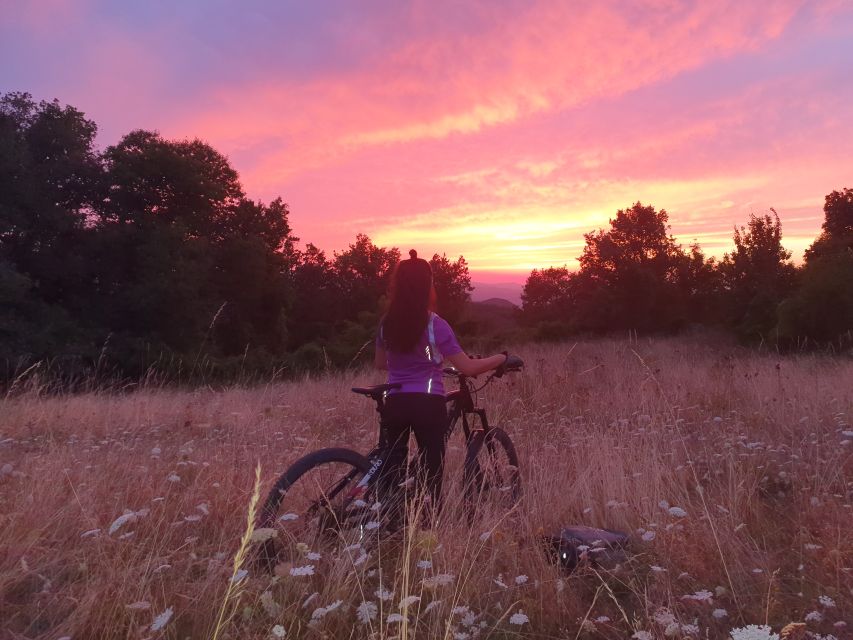 Bologna: E-Bike Guided Tour with Aperitivo - Why the private format matters