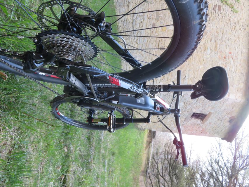 Bologna: E-Bike Guided Tour with Aperitivo - The aperitivo at the end