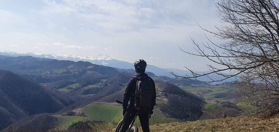 Bologna: E-Bike Guided Tour with Aperitivo - Who should book this Bologna e-bike tour?