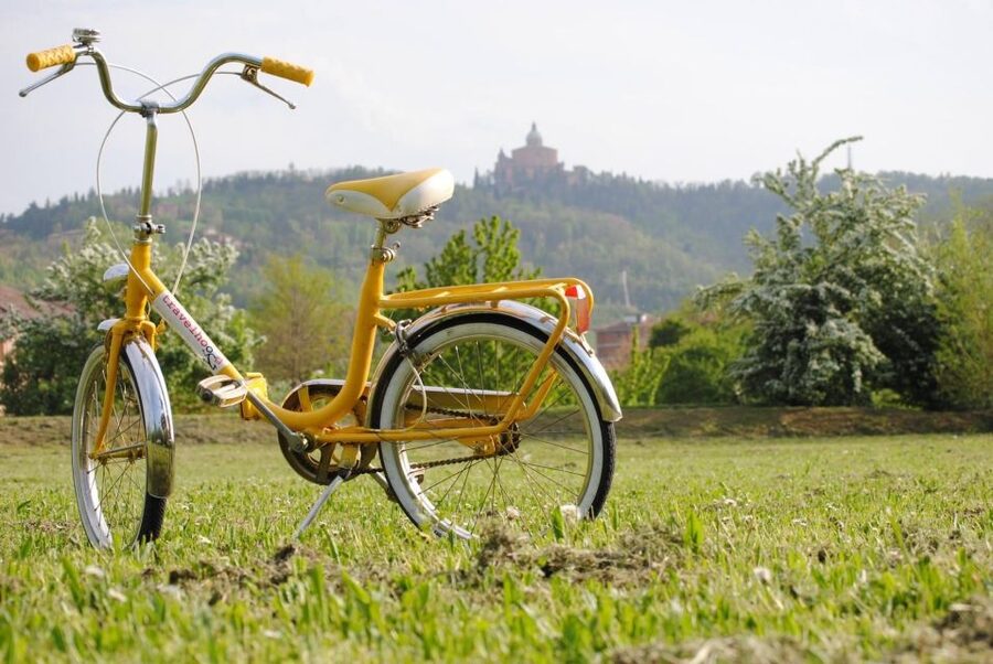 Bologna: Panoramic Bike Tour - The Two Towers and the former Jewish Ghetto