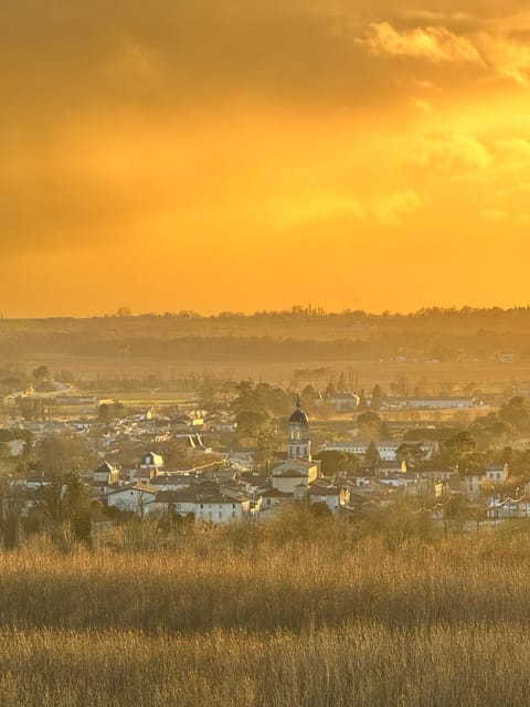 Bordeaux Backcountry E-Bike Tour with Lunch & Wine Tasting - A family vineyard and a focused Bordeaux tasting